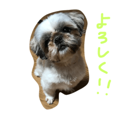 [LINEスタンプ] ぷりんときなこのスタンプ