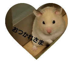[LINEスタンプ] Hamster of my house