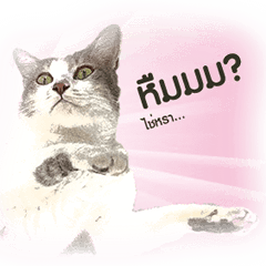 [LINEスタンプ] KAK KAK (2