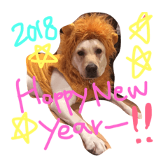 [LINEスタンプ] 愛犬てぃだです。