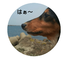 [LINEスタンプ] チャーリーさんの日常