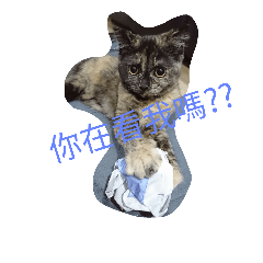 [LINEスタンプ] Douhua~