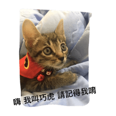 [LINEスタンプ] Qiaohu