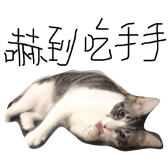 [LINEスタンプ] Weary cat adults