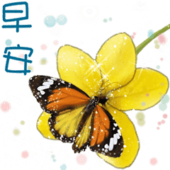 [LINEスタンプ] B＆Y 蝶と花からの挨拶-日常会話