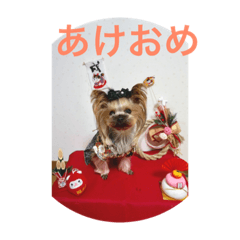[LINEスタンプ] トッポのお正月