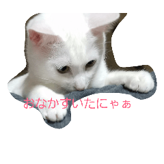 [LINEスタンプ] もふもふ1