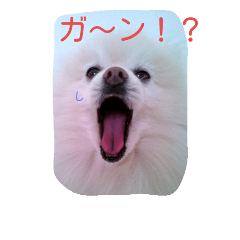 [LINEスタンプ] ぽめ部 2