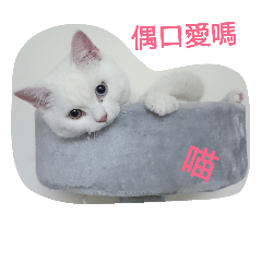 [LINEスタンプ] Min's