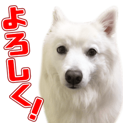 [LINEスタンプ] スピッツくん