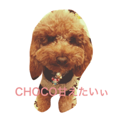 CHOCO＆PHOO