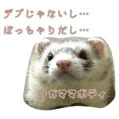 [LINEスタンプ] 日常フェレットスタンプ