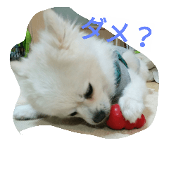[LINEスタンプ] wan dog
