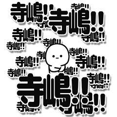 [LINEスタンプ] 寺嶋さんデカ文字シンプル