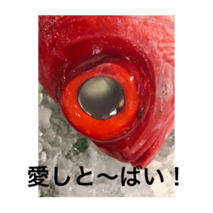 [LINEスタンプ] nobukuni2
