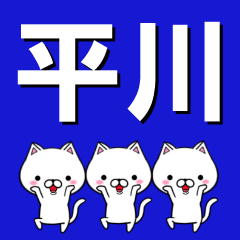 [LINEスタンプ] 超★平川(ひらかわ・ひらがわ)なネコの画像（メイン）