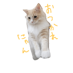 [LINEスタンプ] l am funny