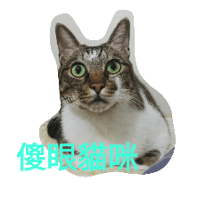 [LINEスタンプ] cute dogs and cats