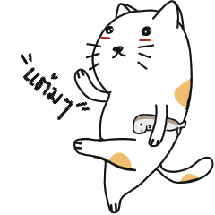 [LINEスタンプ] TAMM TAMM THE CAT