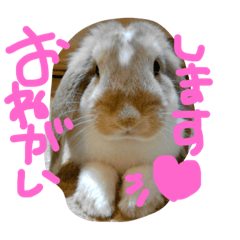 [LINEスタンプ] にいなさん