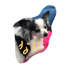 [LINEスタンプ] 中野家 ゆず2