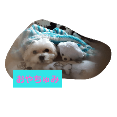 [LINEスタンプ] 満留男まるお