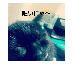 [LINEスタンプ] bura＆hathi