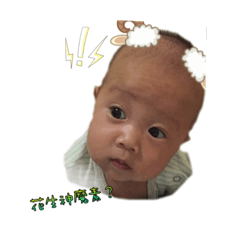 [LINEスタンプ] lee house