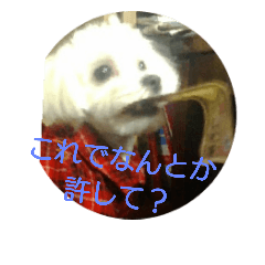 [LINEスタンプ] ラッピー＆ケン