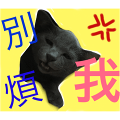 [LINEスタンプ] obediently is blue cat