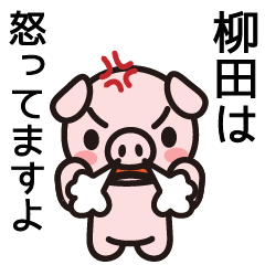 [LINEスタンプ] 柳田さんと柳田さんの友達専用