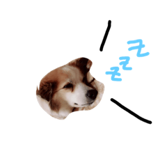 [LINEスタンプ] SAKURASUTANP.