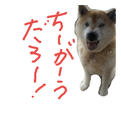 [LINEスタンプ] koro,s stickler