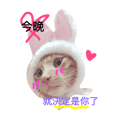 [LINEスタンプ] hello,cat！