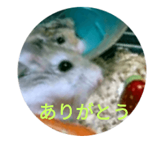 [LINEスタンプ] ハム天2