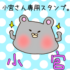 [LINEスタンプ] 小宮さん専用スタンプの画像（メイン）