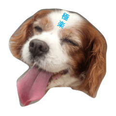 [LINEスタンプ] そらあられ