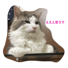 [LINEスタンプ] くーたん2