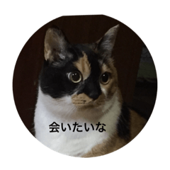[LINEスタンプ] Mugi-kun