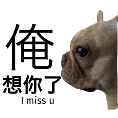 [LINEスタンプ] French Bulldog Boy Frank