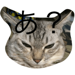 [LINEスタンプ] 猫物園