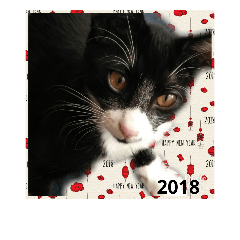 [LINEスタンプ] happyhappynewyear