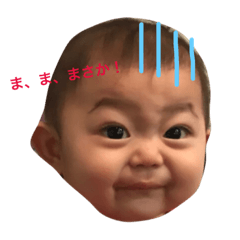 [LINEスタンプ] ケイティの日常