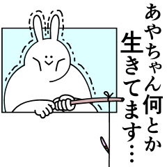 [LINEスタンプ] あやちゃんは最高！日常編