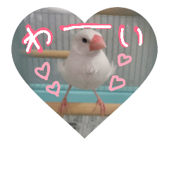 [LINEスタンプ] 白文鳥のおいりちゃん3