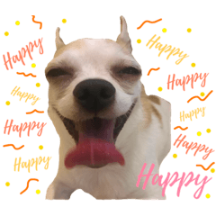 [LINEスタンプ] doggy MAY