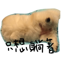 [LINEスタンプ] lazy niou