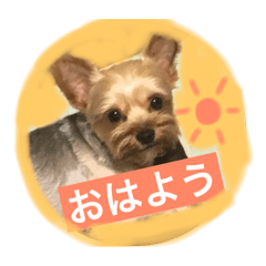 [LINEスタンプ] リク＆ソフィー
