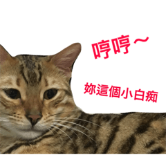 [LINEスタンプ] Morris-momo