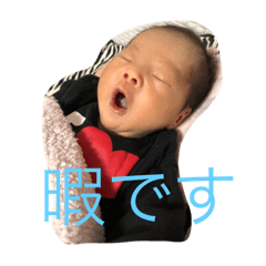 [LINEスタンプ] たいぼうの初めましてスタンプ